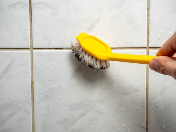 Best Commercial Mold Removal  in Rose Hill, KS