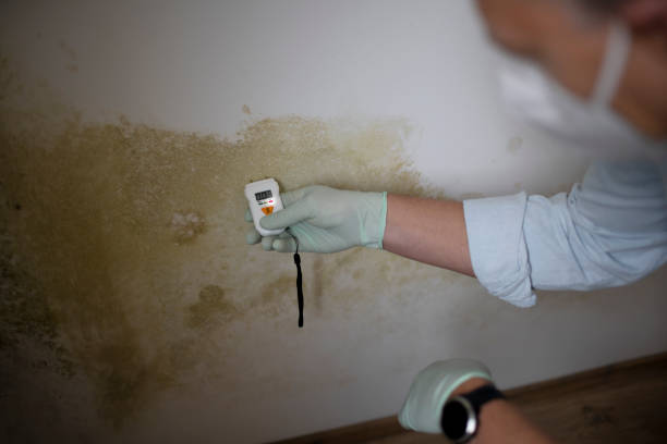 Water Damage Restoration in Rose Hill, KS