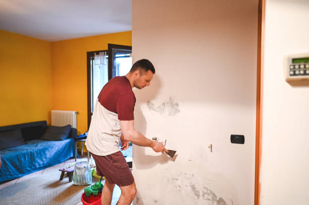 Best Same-Day Mold Removal  in Rose Hill, KS